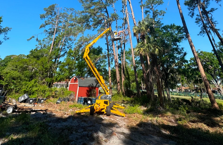 Land Clearing