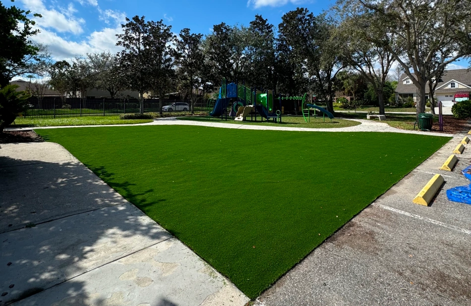 Sod Removal & Installation