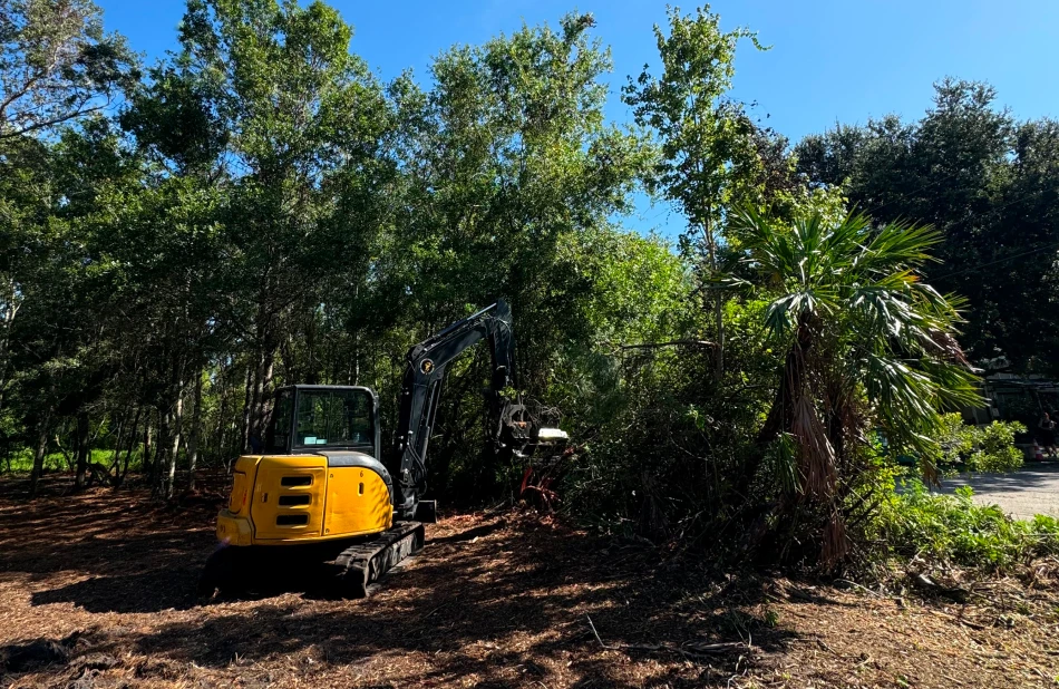 Tree Services